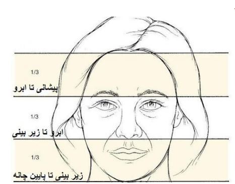 شناخت فرم‌های چهره: راهنمای تخصصی برای تحلیل و آرایش صورت